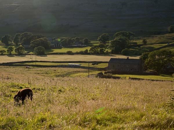 Dale House Farm Cottage Weathercote Екстер'єр фото